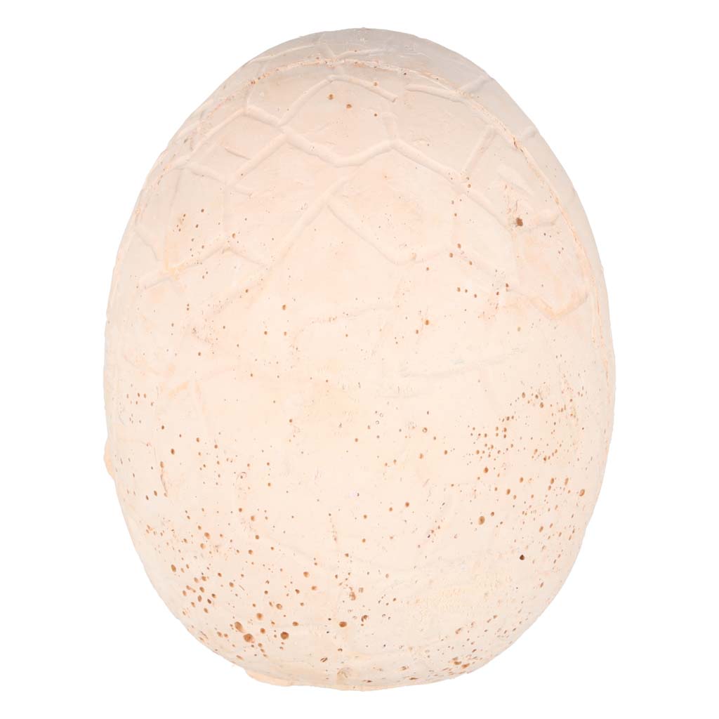 Dinosaur Excavation Kit – Giant XL Egg with 12 Dinosaurs