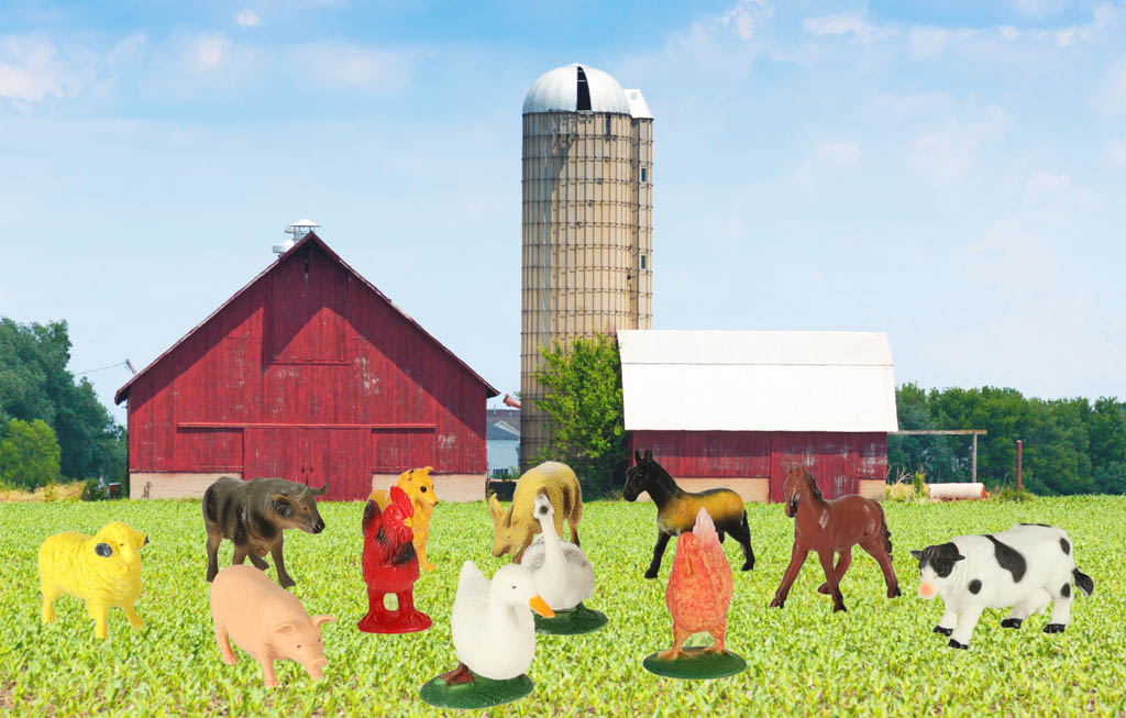 Farm Animal Figures Set – 12-Piece Educational Farm Toys