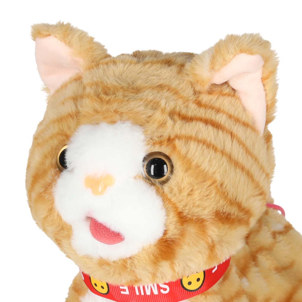 Interactive Walking Plush Cat with Leash – Meows, Walks & Wags Tail
