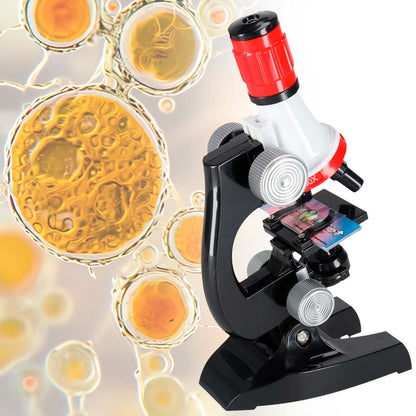 Kids Scientific Microscope Set 1200x
