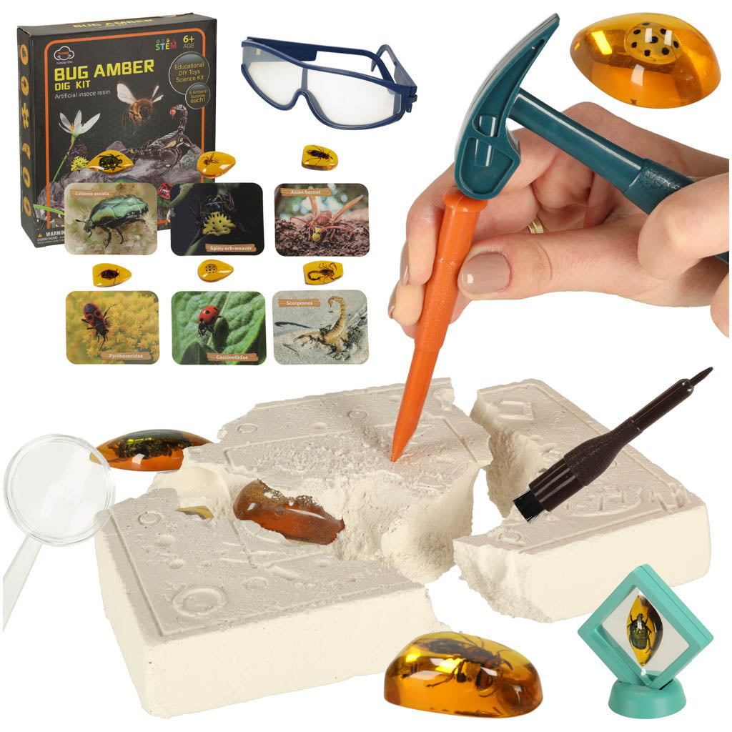 Educational Insect Amber Excavation Kit for Kids 6+
