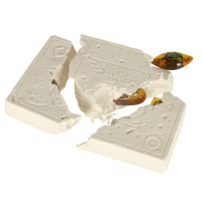 Educational Insect Amber Excavation Kit for Kids 6+