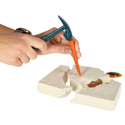 Educational Insect Amber Excavation Kit for Kids 6+