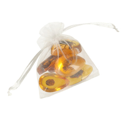 Educational Insect Amber Excavation Kit for Kids 6+