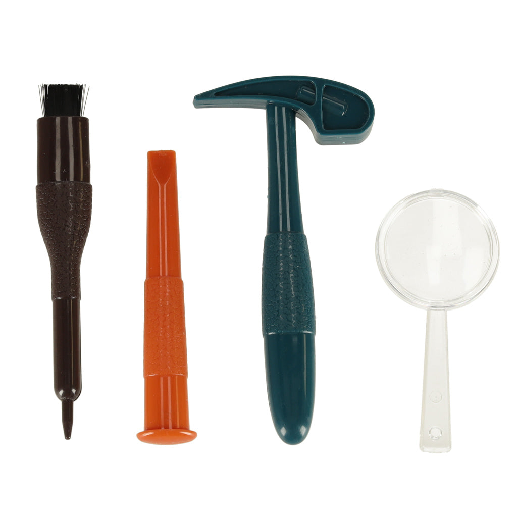 Educational Insect Amber Excavation Kit for Kids 6+