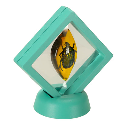 Educational Insect Amber Excavation Kit for Kids 6+