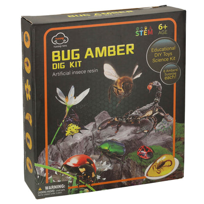 Educational Insect Amber Excavation Kit for Kids 6+